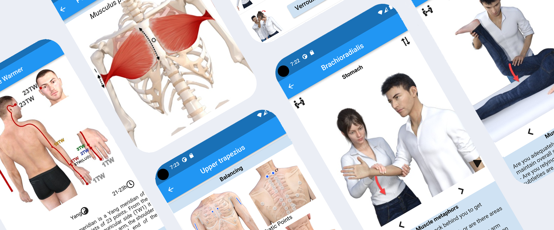 touch for health application - TFH animated reference screenshot